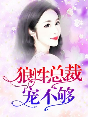 �����۰���������˫�Դ���ϯ�������