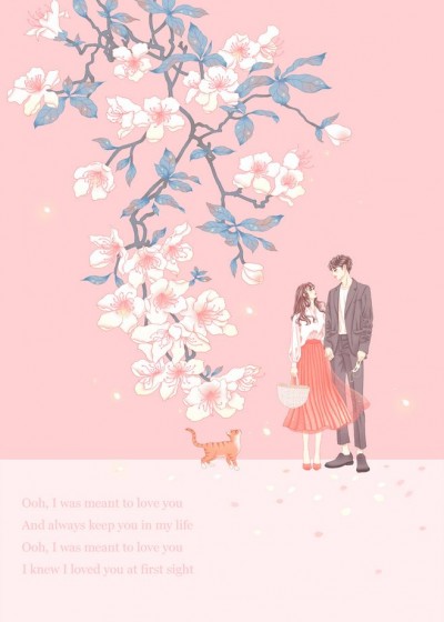 ����׷�ޣ�����������������